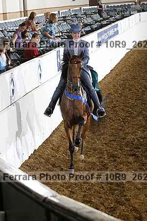 Proof Number 10r9_2623