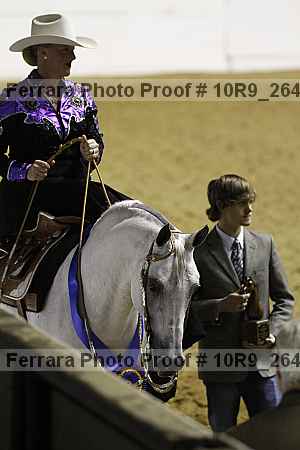 Proof Number 10r9_2646