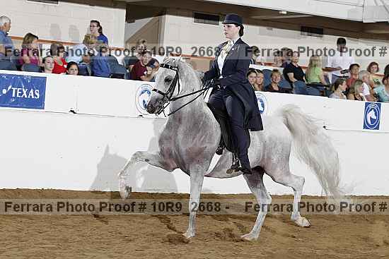 Proof Number 10r9_2668