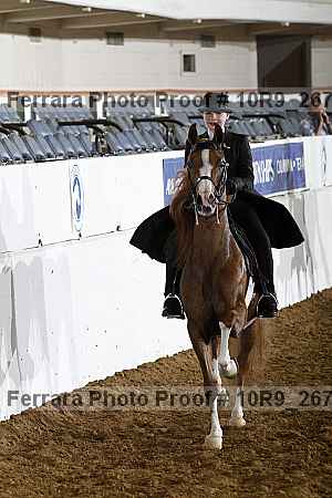 Proof Number 10r9_2676