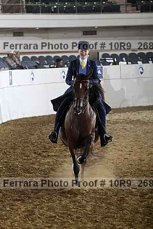 Proof Number 10r9_2682