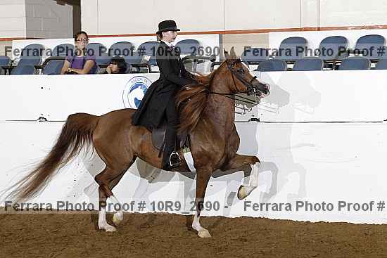Proof Number 10r9_2690