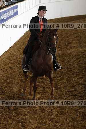 Proof Number 10r9_2705