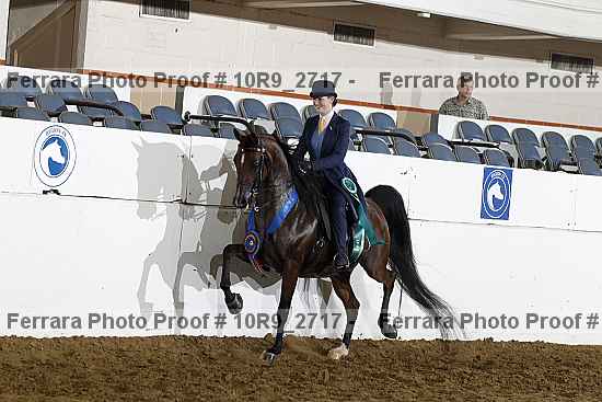 Proof Number 10r9_2717