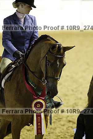 Proof Number 10r9_2746