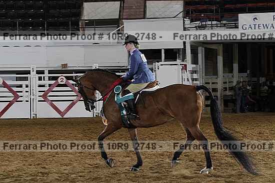 Proof Number 10r9_2748