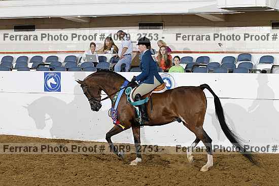 Proof Number 10r9_2753
