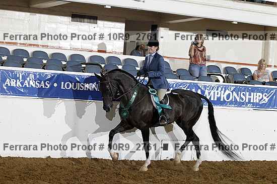 Proof Number 10r9_2761