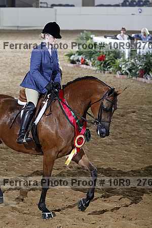 Proof Number 10r9_2763