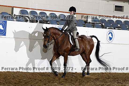 Proof Number 10r9_2772