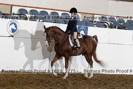 Proof Number 10r9_2775