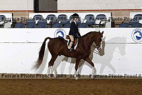 Proof Number 10r9_2778
