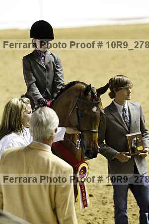 Proof Number 10r9_2780