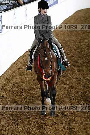 Proof Number 10r9_2789