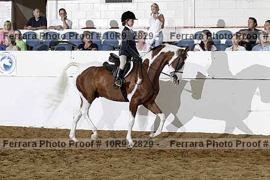 Proof Number 10r9_2829