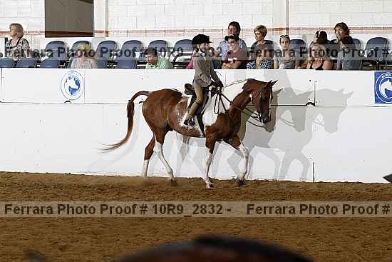 Proof Number 10r9_2832