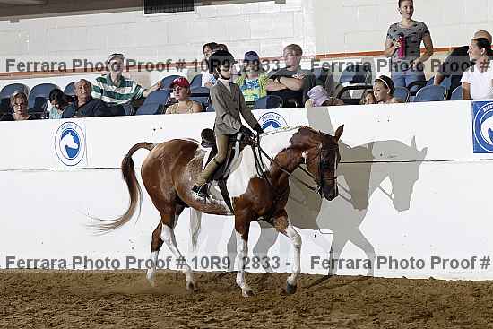 Proof Number 10r9_2833