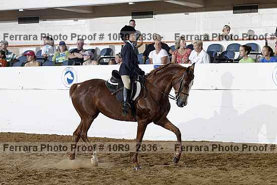 Proof Number 10r9_2836