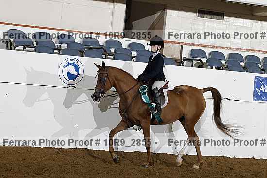 Proof Number 10r9_2855