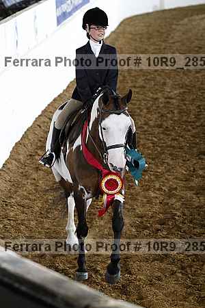 Proof Number 10r9_2856