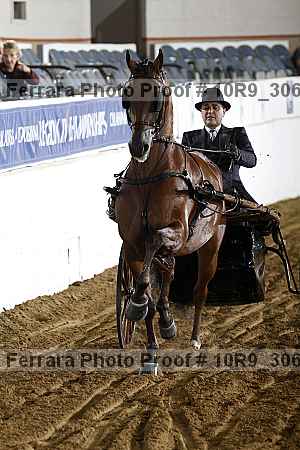 Proof Number 10r9_3061