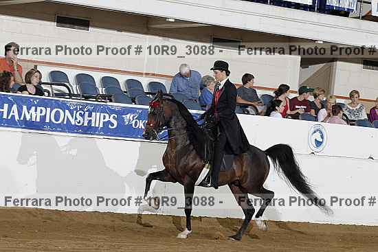 Proof Number 10r9_3088