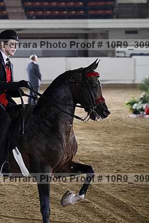 Proof Number 10r9_3090