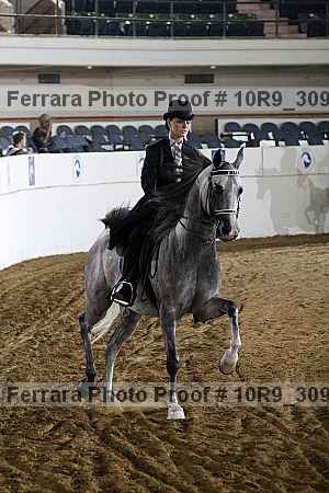 Proof Number 10r9_3091