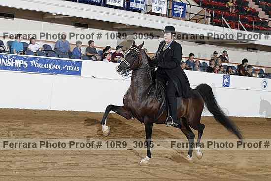Proof Number 10r9_3095