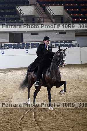Proof Number 10r9_3096