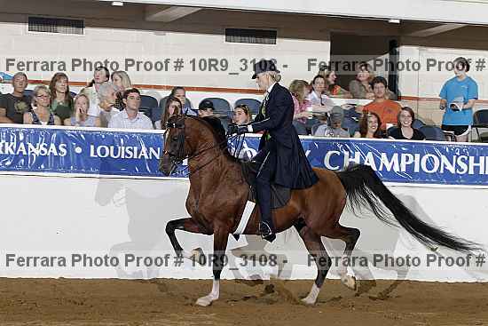 Proof Number 10r9_3108