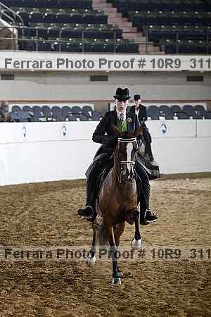 Proof Number 10r9_3116