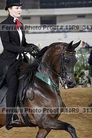 Proof Number 10r9_3130