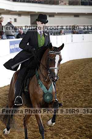 Proof Number 10r9_3134