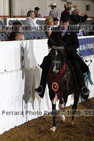 Proof Number 10r9_3136