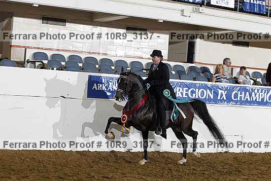 Proof Number 10r9_3137