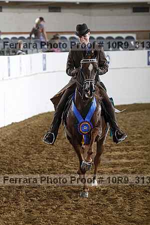 Proof Number 10r9_3138