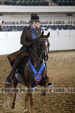 Proof Number 10r9_3139