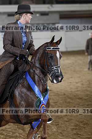 Proof Number 10r9_3140