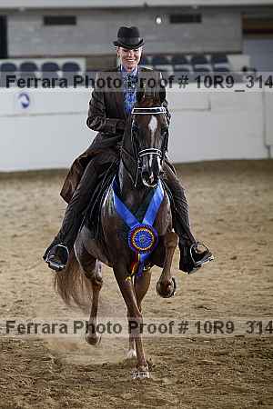 Proof Number 10r9_3145