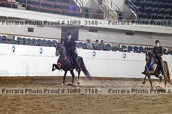 Proof Number 10r9_3148