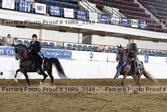 Proof Number 10r9_3149