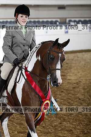 Proof Number 10r9_3194