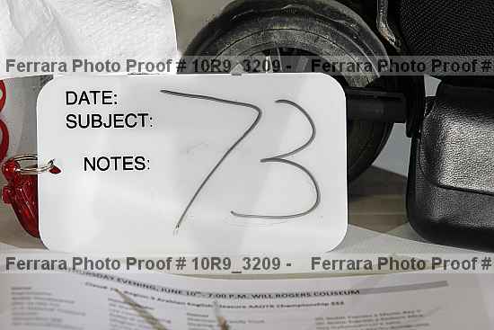 Proof Number 10r9_3209