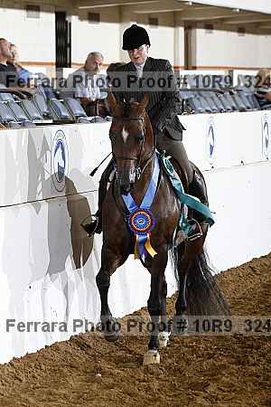 Proof Number 10r9_3247