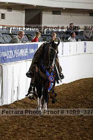 Proof Number 10r9_3274