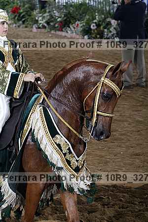 Proof Number 10r9_3279