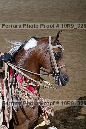 Proof Number 10r9_3282