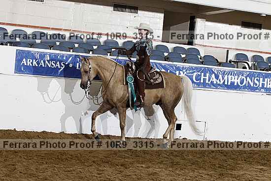 Proof Number 10r9_3315