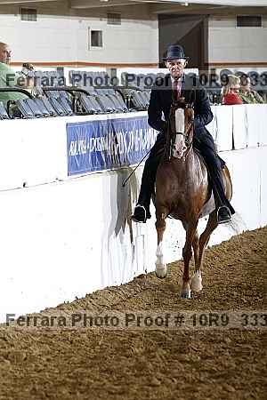 Proof Number 10r9_3332